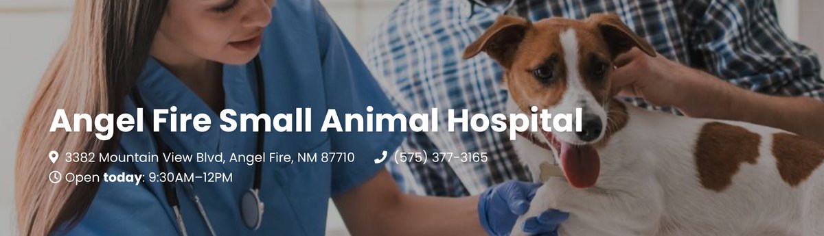 Festival Eclectica tweet media