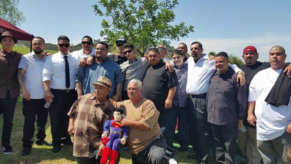 Big Joe the Don | Cardano StonerZ Club tweet media