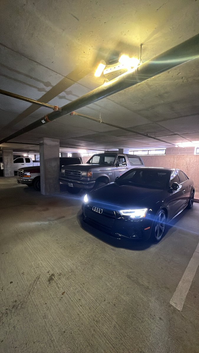 tristan niedermeier tweet media