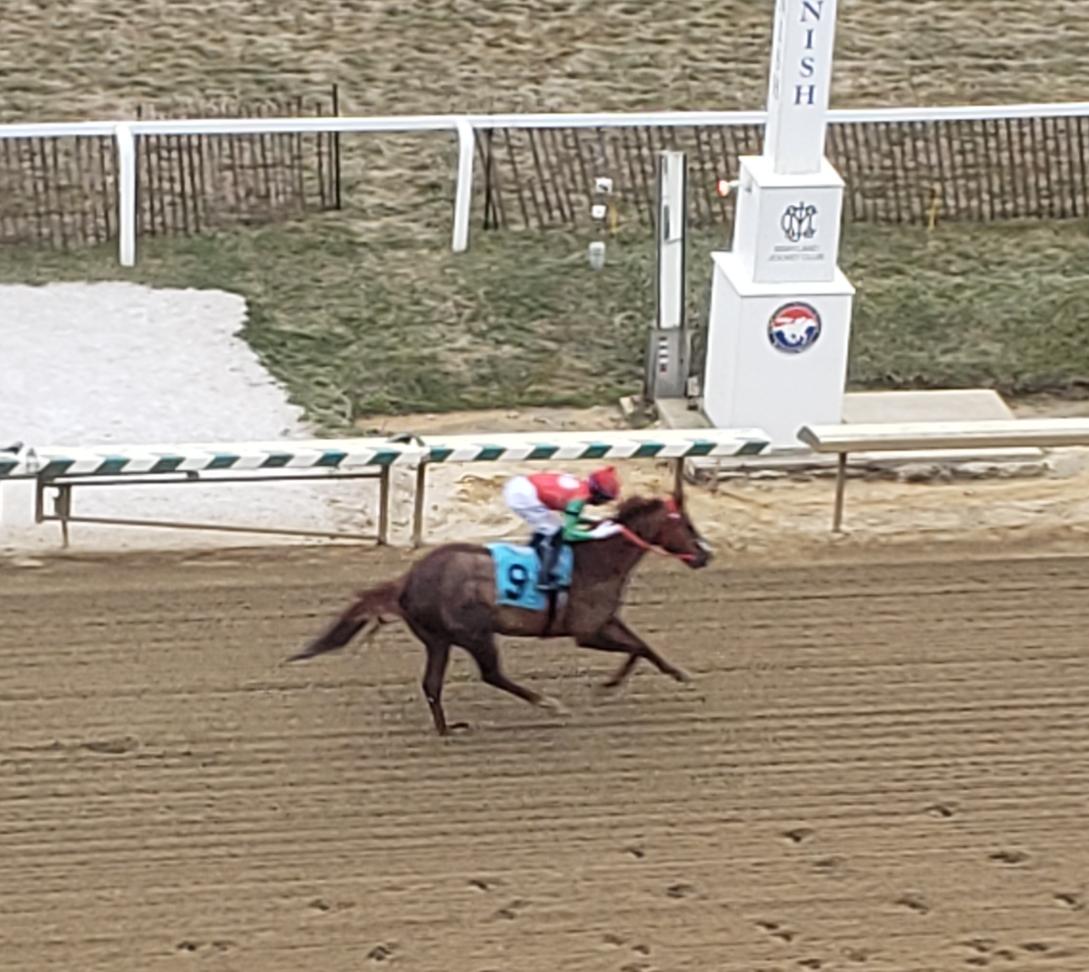 The Racing Biz tweet media