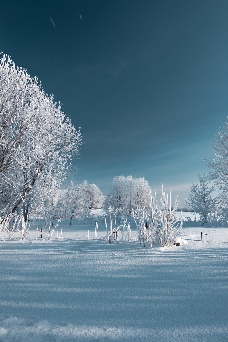 ACekuls's tweet photo. Cold and beautiful ! ❄️ #snow #winterwonderland https://t.co/n4WvteKUJP