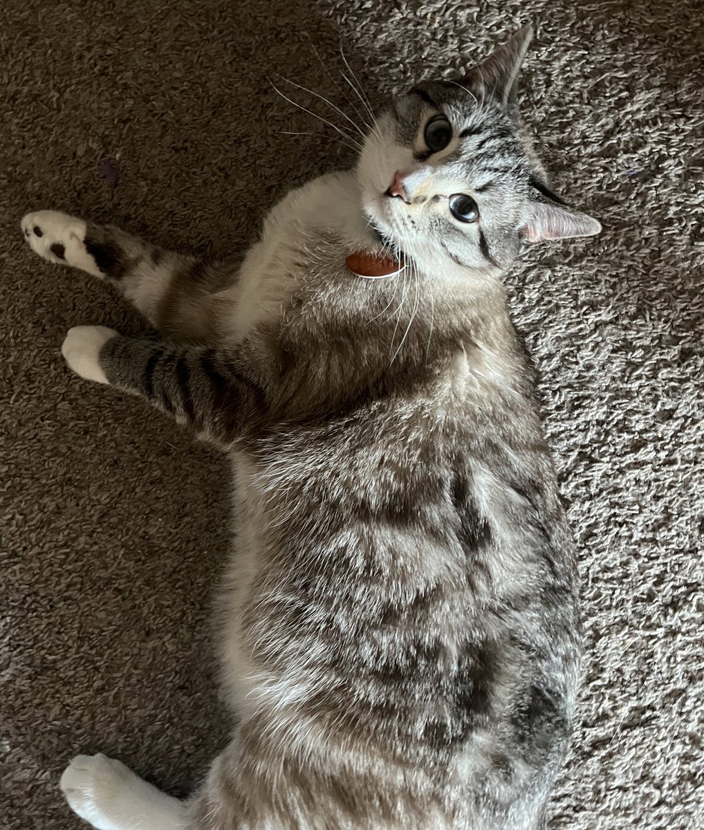 kylie (@visualsbykylie) on Twitter photo 