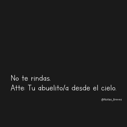 Notas Breves📝 (@biazeonx) on Twitter photo 