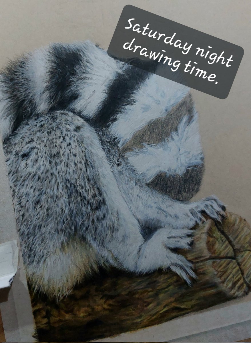 Gem Oatley (wildlife artist) tweet media