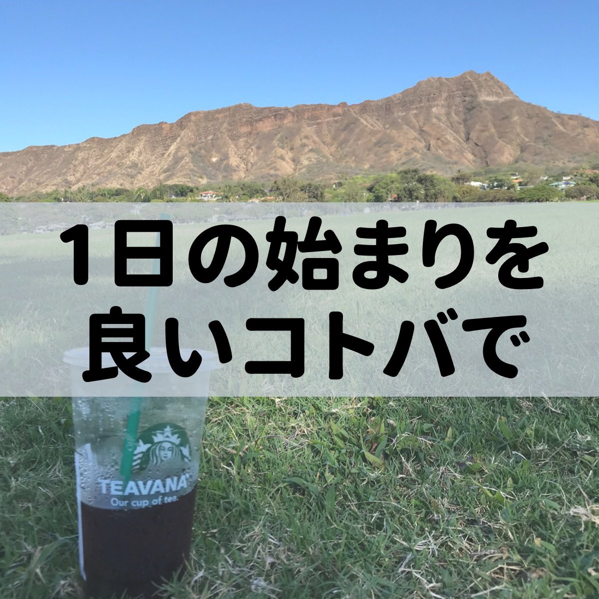 daisukefesta's tweet photo. おはようございます☀

本日の名言・格言は
------------
感謝の心が高まれば高まるほど、
それに正比例して幸福感が高まっていく

松下幸之助
------------
今日も、感謝の心を高めて1日を過ごします。

今日も素敵な１日を✨

#おは名言
#朝活 https://t.co/xQ8bPpHXU6