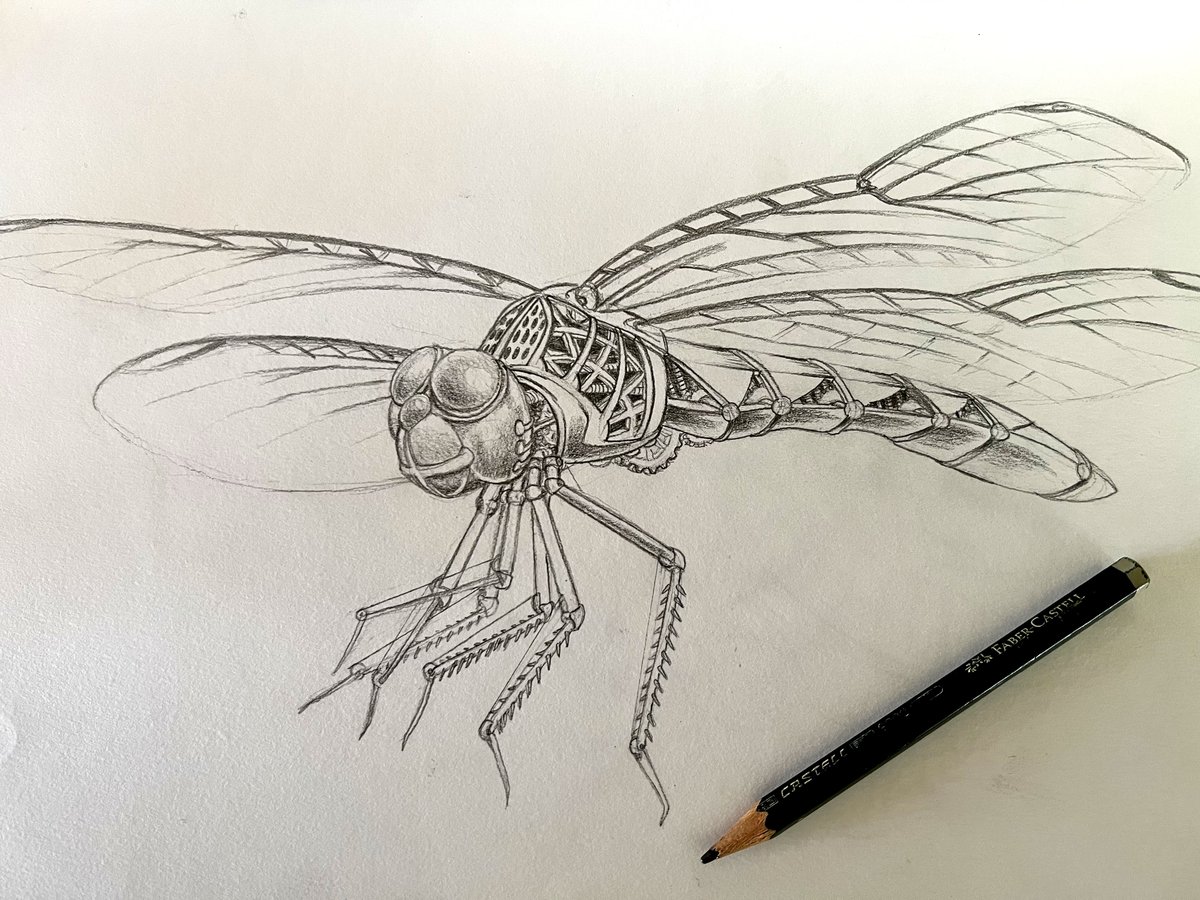 #SketchbookSaturday Should this be actual dragonfly size, or big enough to ride inside?