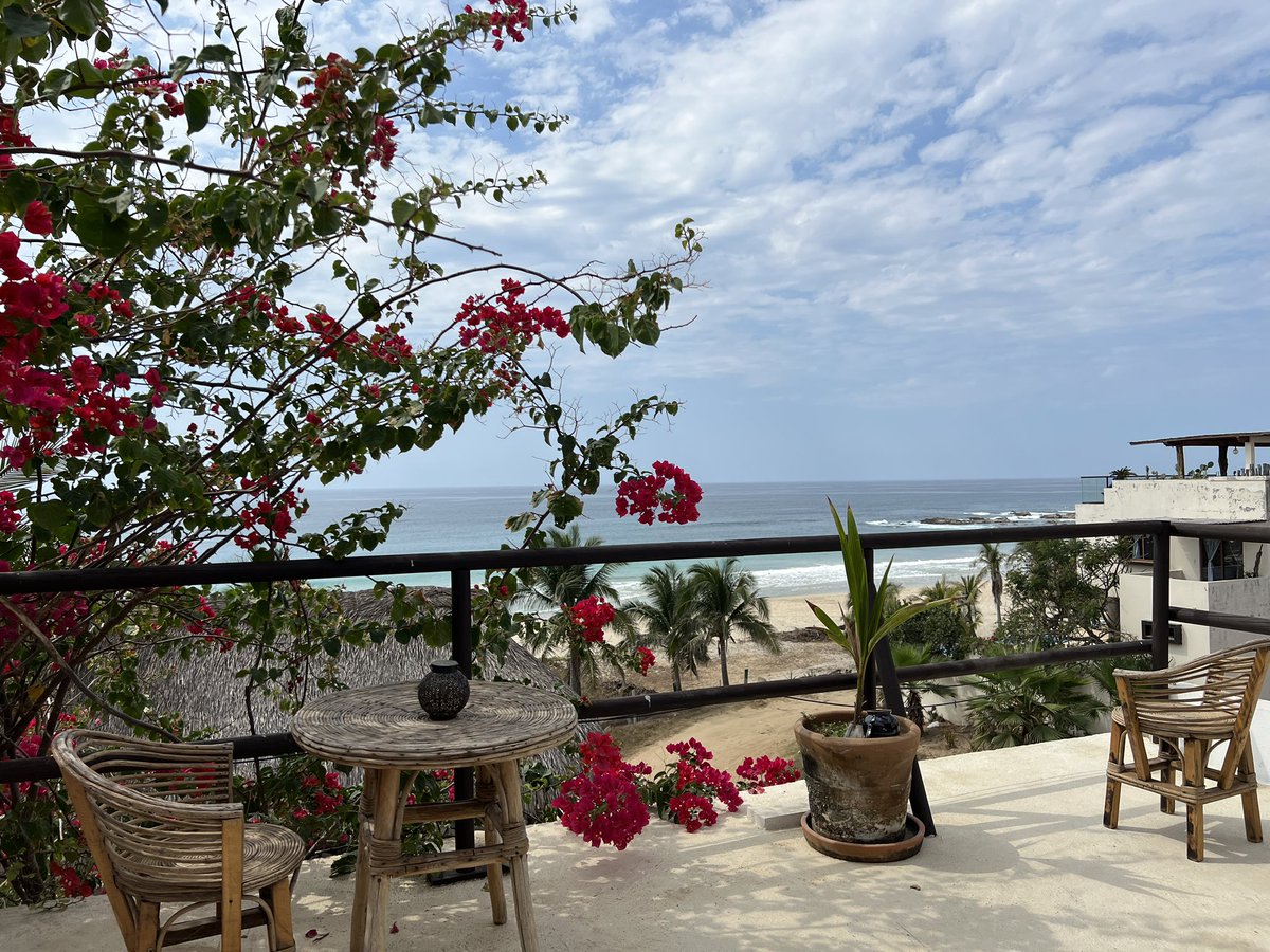 GoPuerto's tweet photo. Have you been to Playa Agua Blanca in Oaxaca? It’s wildly beautiful, away from the crowds and a top place to enjoy fresh oysters. #puertoescondido #Mexico https://t.co/cchayaDf9M