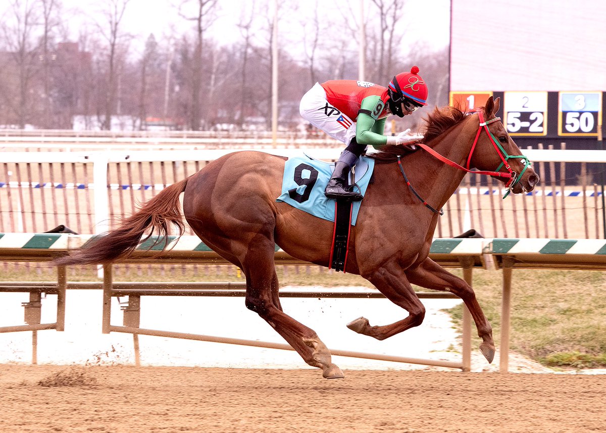 Maryland Horsemen tweet media