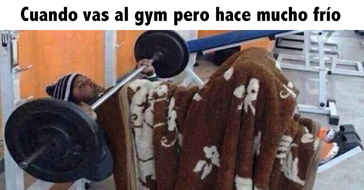 fitandnutmur's tweet photo. Menos mal que nuestras instalaciones están totalmente climatizadas 😌
#fitter @fit #fitness #gym #gymbro #meme https://t.co/B4C48no6S8