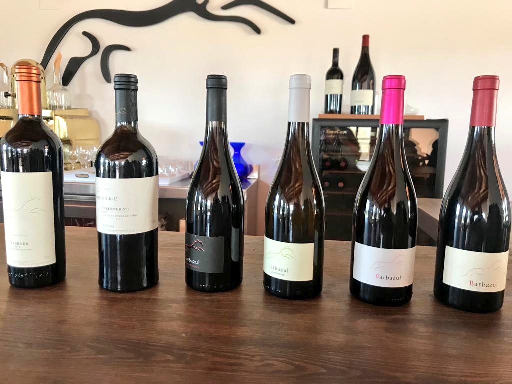 masqueveteranas's tweet photo. Extraordinaria visita a la Bodega Huerta de Albalá
Otra ocasión para conocer la cultura del vino y poner en valor los de la #TierraDeCádiz #Barbazul #Taberner 

¡Salud! 🍇🍷 https://t.co/7yk9gQ8tNp