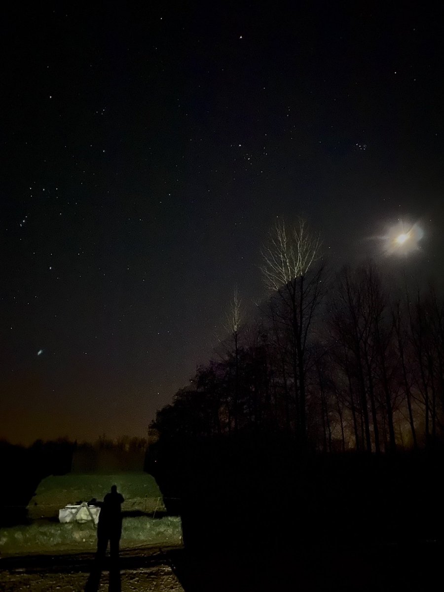 bart_seys's tweet photo. Florée 22u10 en 0° Prachtige sterrenhemel 🌟 #vrtweer #orion #grotebeer #floree https://t.co/cBFDrZyggu