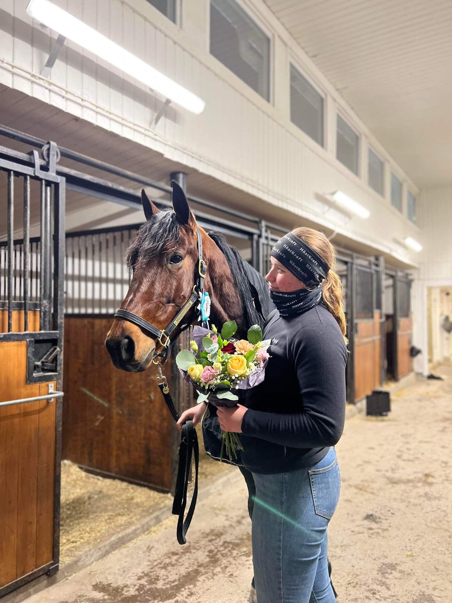Dream Sensation tog tredje raka 🥇🥇🥇idag på Romme och är därmed uppe i 6 segrar i år🌟🐴💪💨🤩