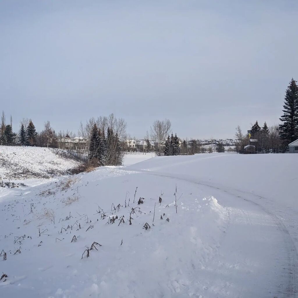 JayWll's tweet photo. It's been a snowy week, so much of our #Weekend #Morning #BigBigWalk with @lucy.t.doodle route is impassable unless you're willing to run and jump in deep deep snow, and only one of us is. We snapped an obligatory landscape pic close to the house and the… https://t.co/FU5AfXQfWD https://t.co/8GduKmpYY0