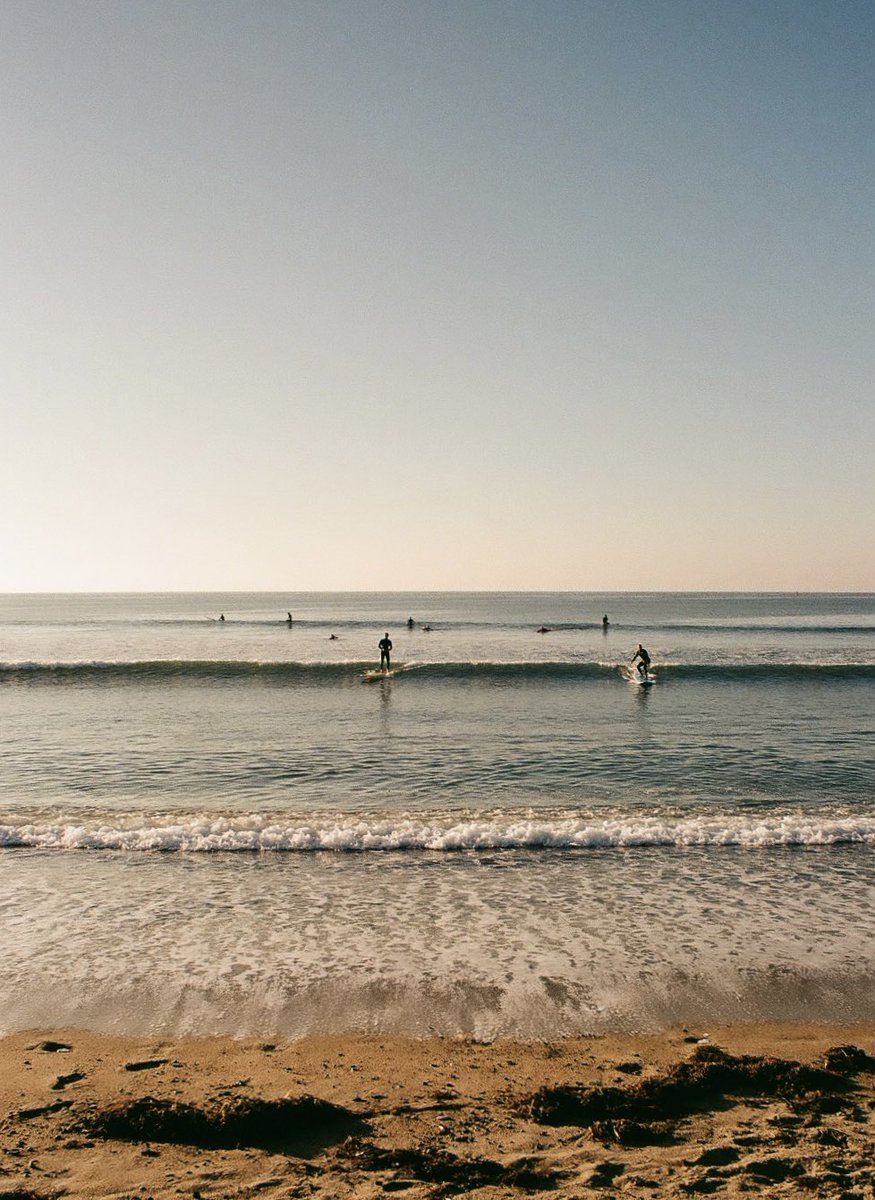domiesann's tweet photo. Surfing
#kodak #kodakgold #kodakgold200 #photofilmy #photograghy #surfing #surfers #california #danapoint #photooftheday #35mmfilm #beach #nikon #nikonn2020 https://t.co/GdcJVMy47A