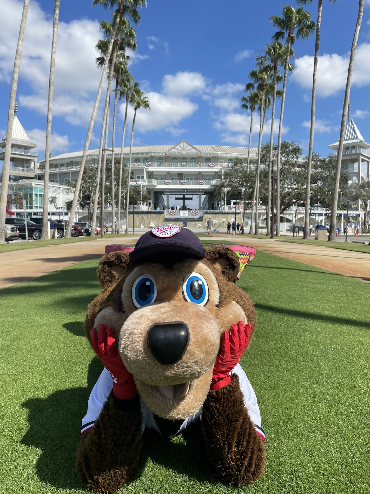 Tc bear store stuffed animal