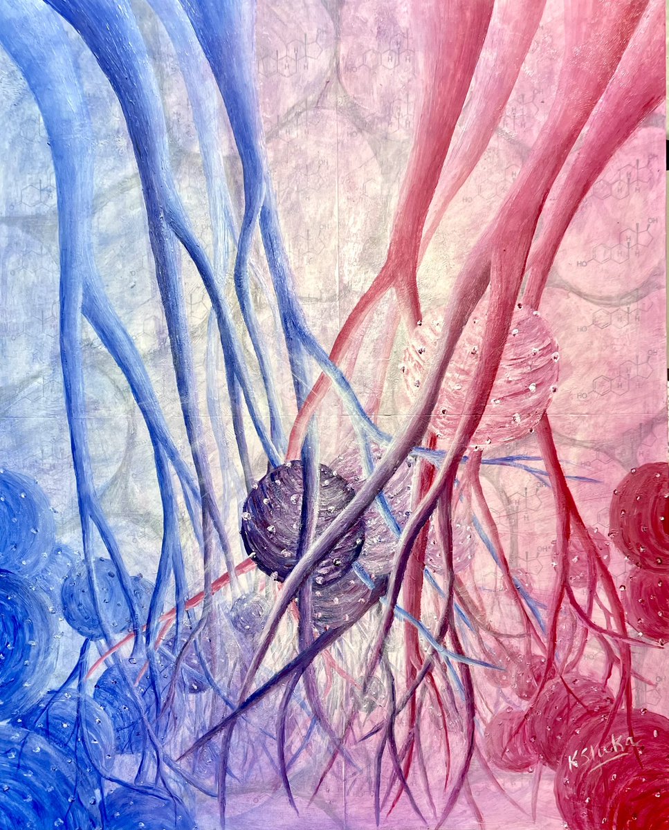 Kathleen Sluka (@ksluka0101) on Twitter photo Sex Matters-multimedia painting made for <a href="/LesnakJoe/">Joseph Lesnak PT, PhD</a> for his successful defense. He studied muscle-neuro-immune mechanisms of pain in a sex specific manner. Background is collaged with sex hormones and layers show muscle fibers, immune cells and nociceptors. #sciart #neuroart Sex Matters-multimedia painting made for <a href="/LesnakJoe/">Joseph Lesnak PT, PhD</a> for his successful defense. He studied muscle-neuro-immune mechanisms of pain in a sex specific manner. Background is collaged with sex hormones and layers show muscle fibers, immune cells and nociceptors. #sciart #neuroart