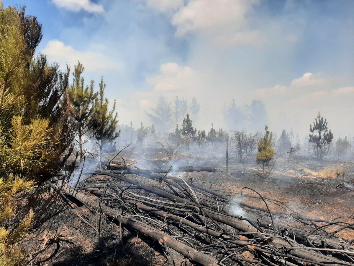 marceandres1's tweet photo. #SanNicolásÑuble 10:00 hrs sector Parcela Las Vertientes. Otro nuevo foco de incendio Forestal de rapido avance con peligro de propagacion a viviendas. Trabajo Bomberos de la comuna y Brigadas forestales aereas y terrestres. https://t.co/9BZytZkgyM