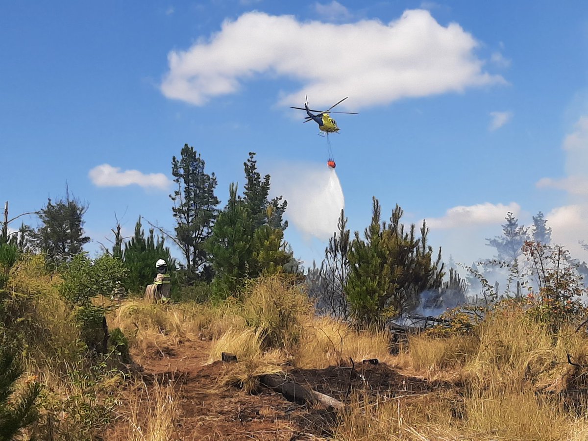 marceandres1's tweet photo. #SanNicolásÑuble 10:00 hrs sector Parcela Las Vertientes. Otro nuevo foco de incendio Forestal de rapido avance con peligro de propagacion a viviendas. Trabajo Bomberos de la comuna y Brigadas forestales aereas y terrestres. https://t.co/9BZytZkgyM