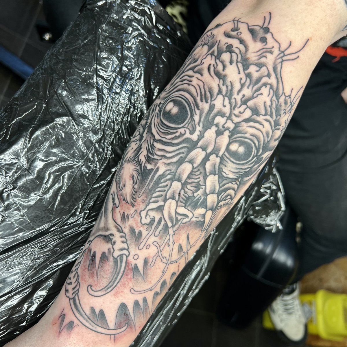 ben_errington's tweet photo. ‘Be afraid. Be very afraid.’
I had the #Brundlefly tattooed on me today! Phenomenal work from Phil Moody of #StudioBeehive. #TheFly 🪰
Check out more of his work - https://t.co/6PQktn3bK8 https://t.co/vY8POQTnrd
