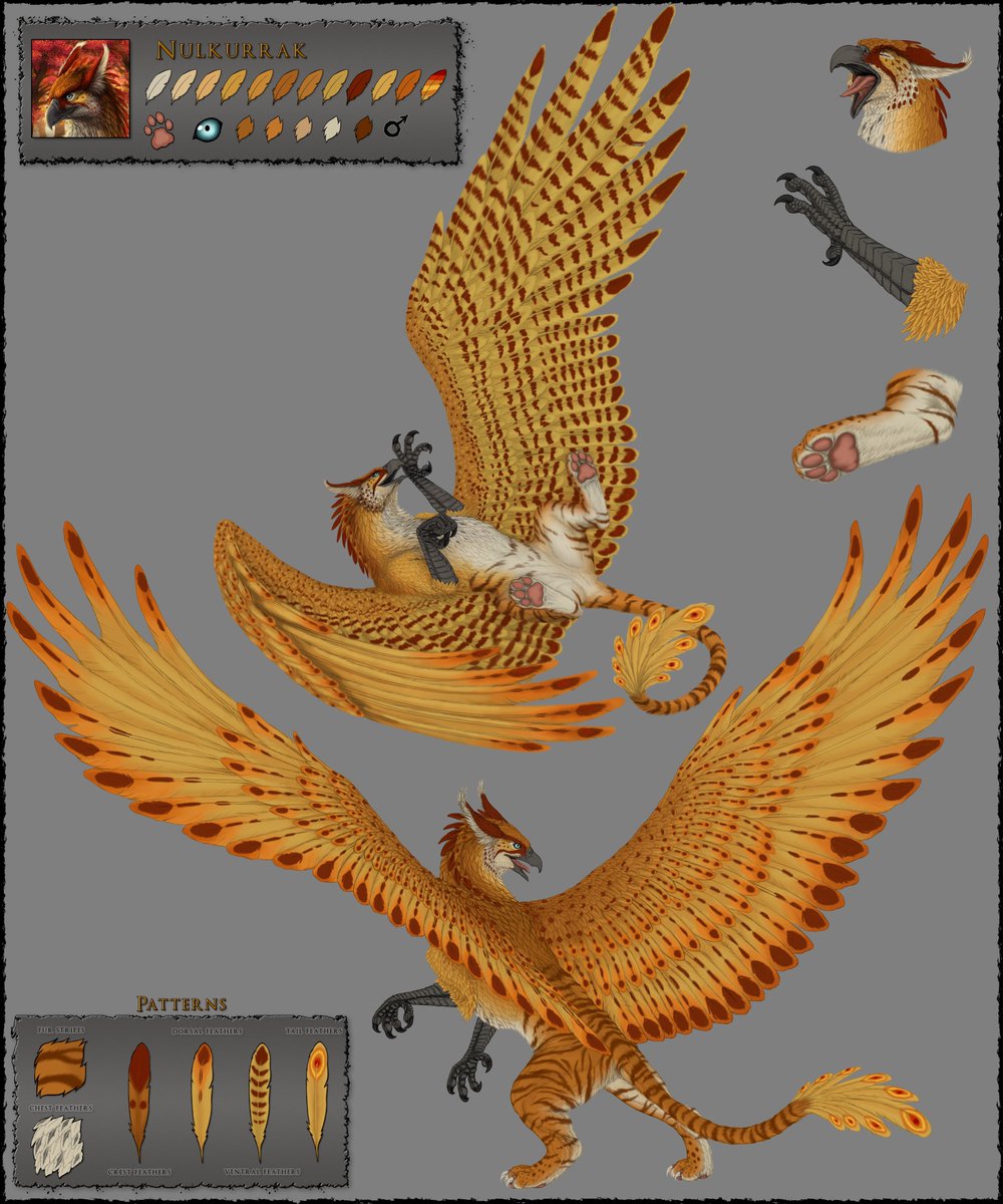 Nulkurrak's tweet photo. @NightfireZephyr Paw play can defo be SFW as well! You get the same gryphon deal as on FA :P https://t.co/EpwLUHuaZn