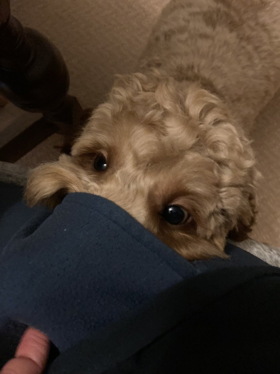 Steve Walters tweet media