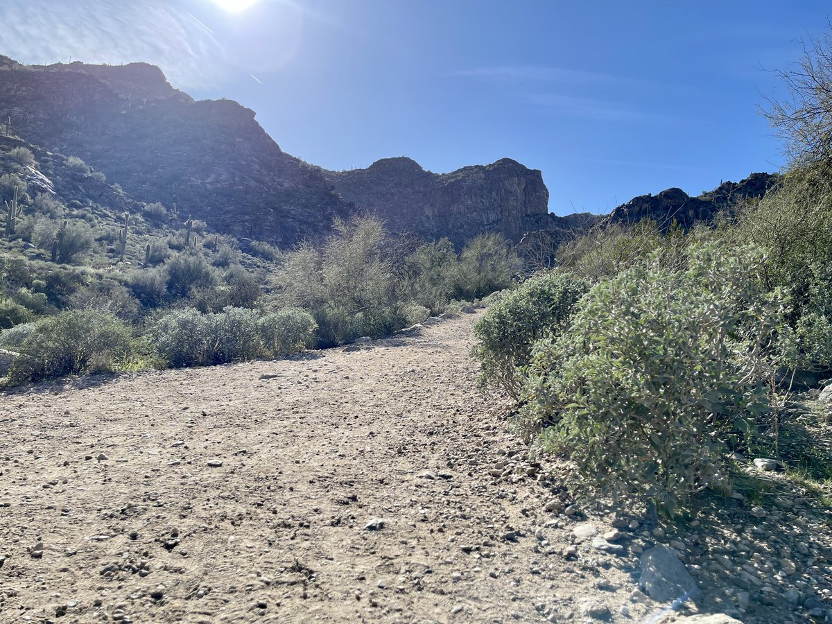 alynderey's tweet photo. Weather wasn’t too bad yesterday so decided to go out for a short hike 🌵 
#ArizonaState #WhiteTankMountain https://t.co/7FgwdgjyU8