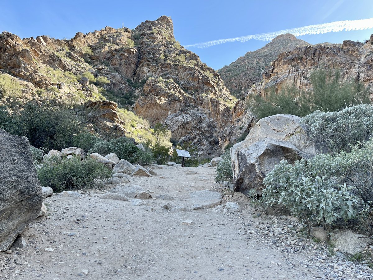 alynderey's tweet photo. Weather wasn’t too bad yesterday so decided to go out for a short hike 🌵 
#ArizonaState #WhiteTankMountain https://t.co/7FgwdgjyU8