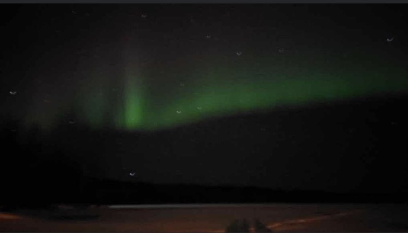 Wendy Wakeman tweet media