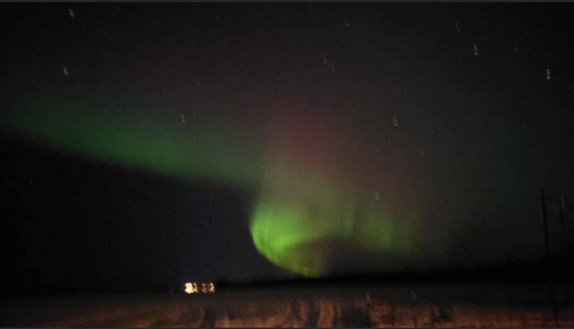 Wendy Wakeman tweet media