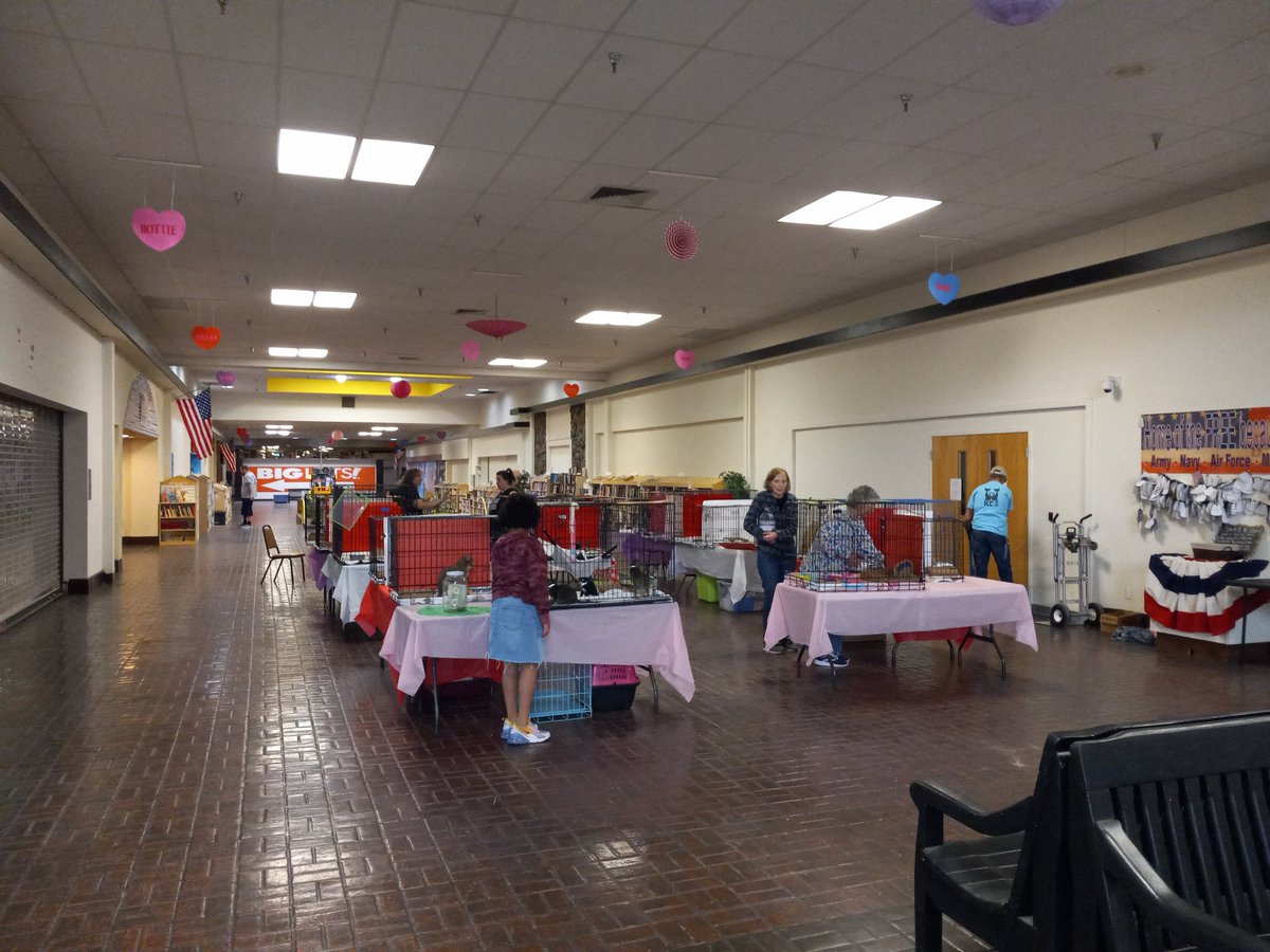 LibertyValanc12's tweet photo. Just finished setting up our 4th adoption of the yr Waiting for Cats an Dog's #YesDogs from Animal Control to make their arrival then It's on like Donkey Kong
If you have room in your Heart an Home get down to your local shelter an #adopt a #Cat or #Dogs today Unconditional #Love https://t.co/gBRS9GDZOq