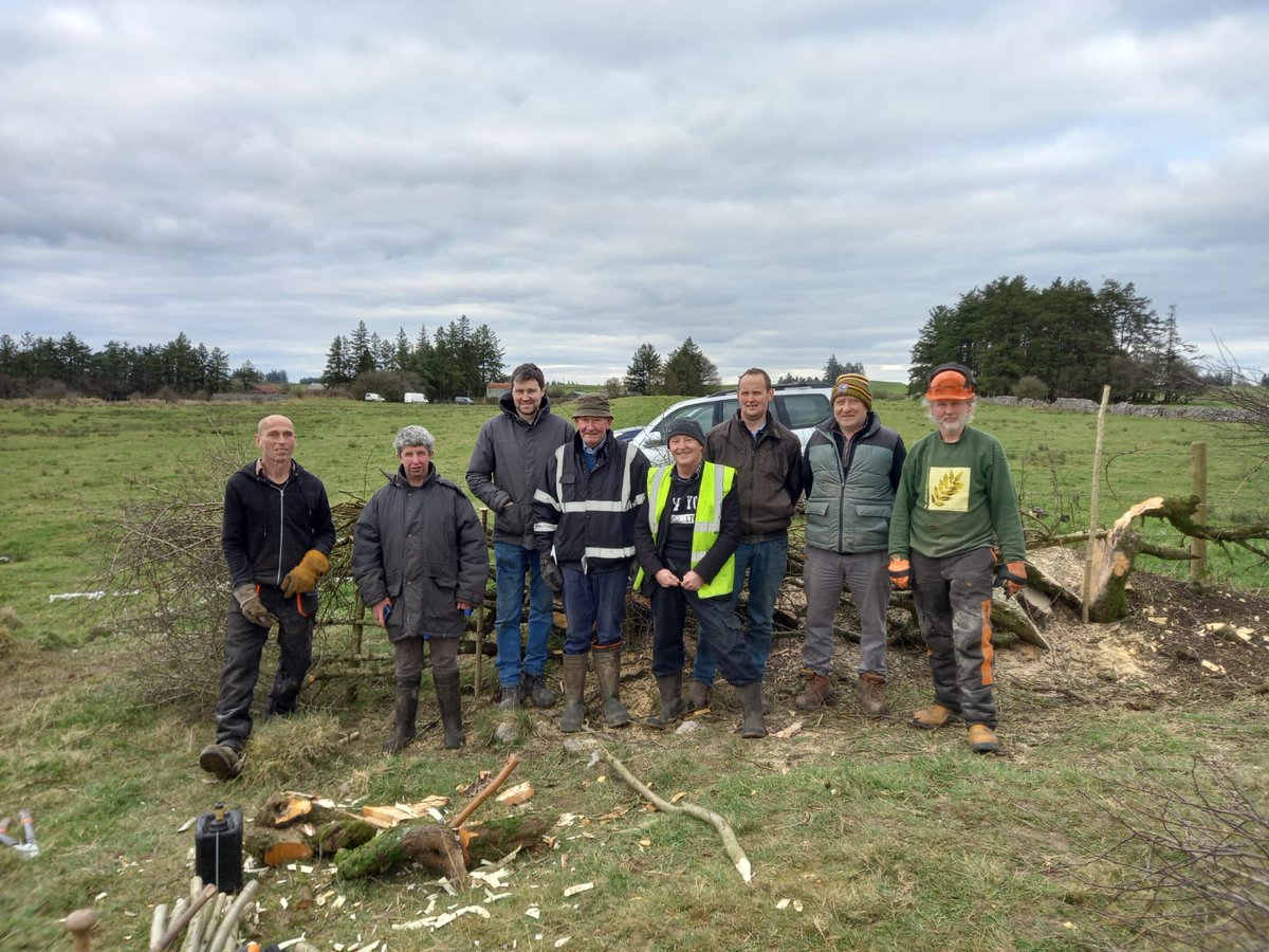 Great to be out today getting some work done in our Farming Rathcroghan project for Hedge Laying training.Our thanks to our local farmers who joined us and tutors Steve and Clive. richie@farmingrathcroghan.ie