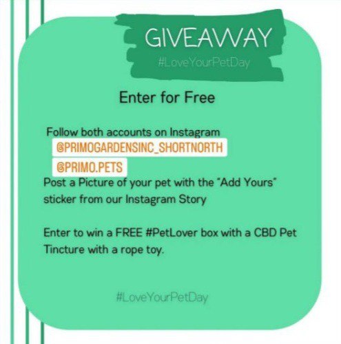 PrimoGardensInc's tweet photo. Join our #LoveYourPet giveaway by posting your cutest Pet picture to your story for a chance to win a FREE #PetLover box including a CBD Pet Tincture and rope toy.

Giveaway Rules:
✅follow @primogardensinc_shortnorth and @primo.pets on Instagram!
✅repost the “Add Yours” sticker from our story with a picture of your pet
✅tag both accounts in your story
(last entries accepted before midnight 2/27 - announcing the winner on 2/28)

*two entries if you include the Primo CBD Pet Tincture in the picture

#pet #dogsofinstagram #petsofinstagram #petlovers #petfriendly #dogs #doglover #dogmom #catsofinstagram #cat #catmemes #catlover #petphotography #petpost #loveyourpetday #loveyourpet #loveyourpets #petgiveawaycontest #giveaway #contest #contestgiveaway