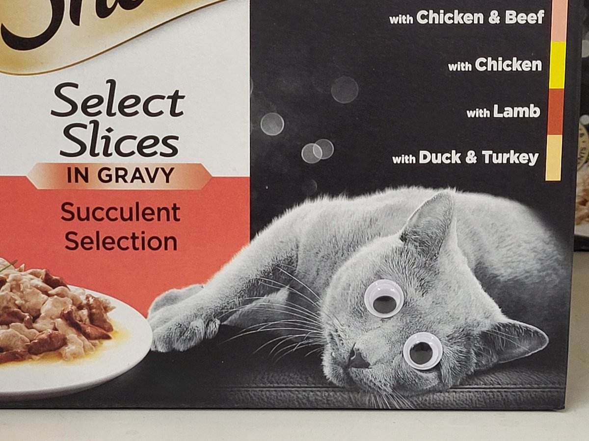 BurghleyGroup's tweet photo. Who doesn't love googly eyes.

#funshopping #googly #googlyeyes https://t.co/Ngp3voyLc6
