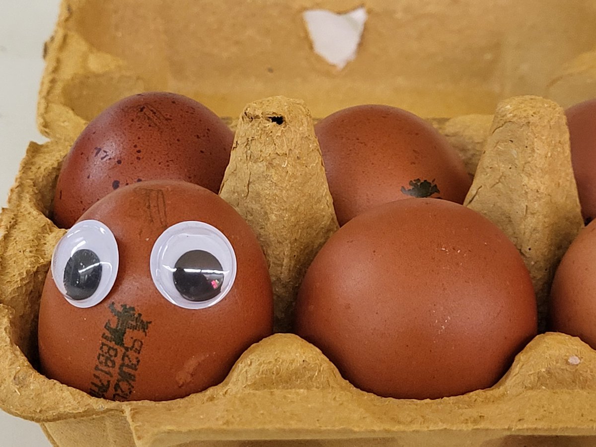 BurghleyGroup's tweet photo. Who doesn't love googly eyes.

#funshopping #googly #googlyeyes https://t.co/Ngp3voyLc6