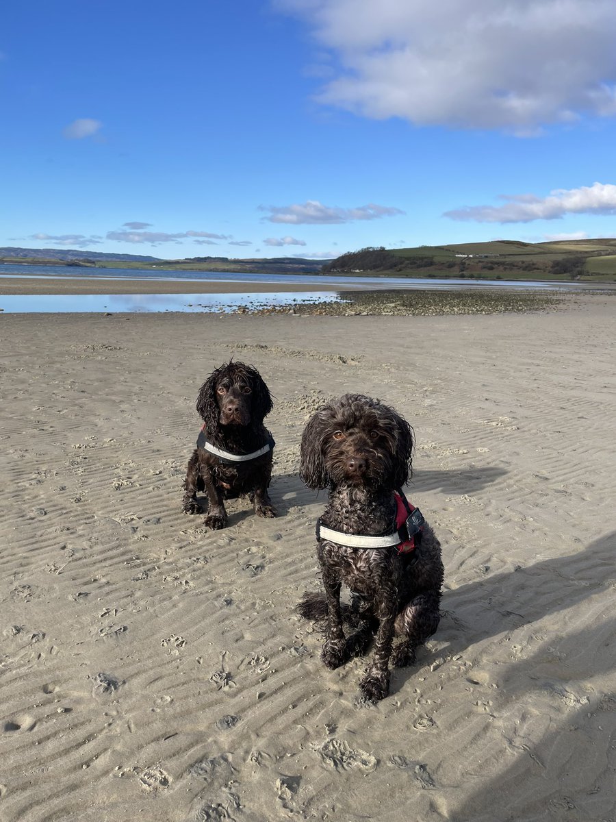 AlisonMunro17's tweet photo. Thanks @dairyqueenbute for the info about #MountStuartParkrun 100th run. Delighted to be the first female over the line &amp; a minute off my PB. Took my support team to Ettrick Bay for breakfast &amp; a paddle too! Cracking day for a trip to Bute ☀️#100parkrun @parkrunUK @mountstuart https://t.co/KrqHQlMG8s