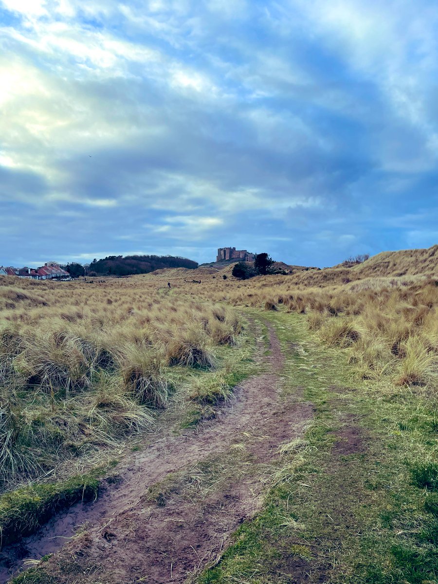 AbbigailOllive tweet media