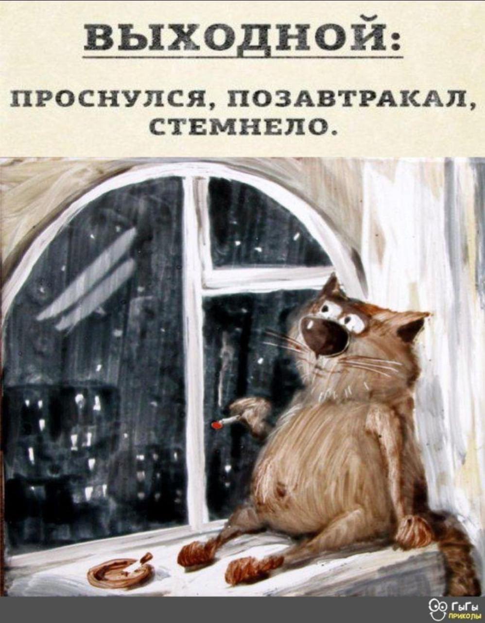 Проснулся в выходной