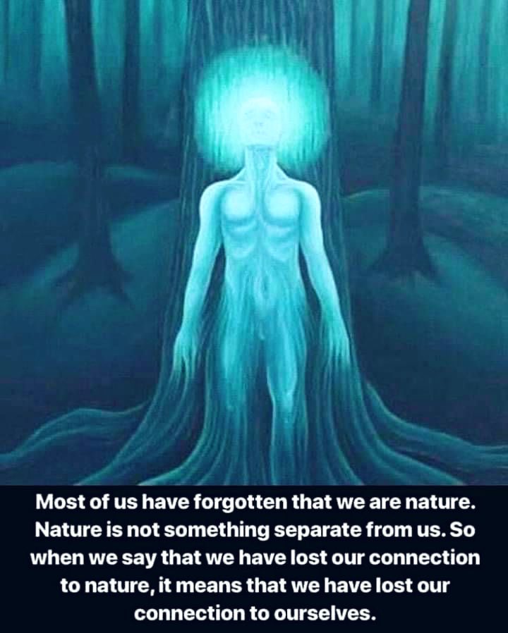 Most of us have forgotten 
that we are nature.
Nature is not something 
separate from us.
So when we say we have 
lost our connection to nature,
it means we have lost our 
connection to ourselves.

#OneWithNature
#WeAreConnected
#Healing #Insight