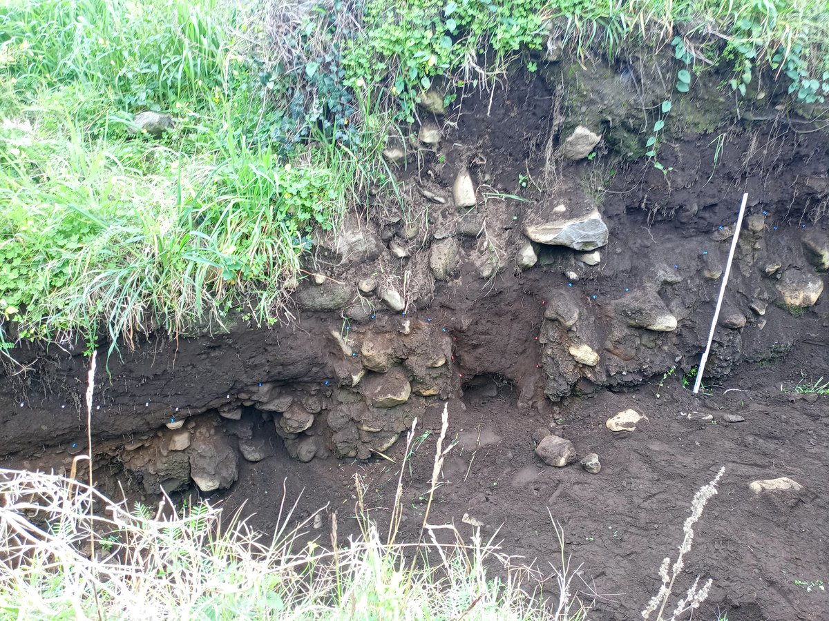 GiorgioTringa's tweet photo. Work in progress along the San Leonardello Fault on Mt. Etna, 1989 earthquake and... #paleoseismology #Etna https://t.co/ZHKwV3AtFS