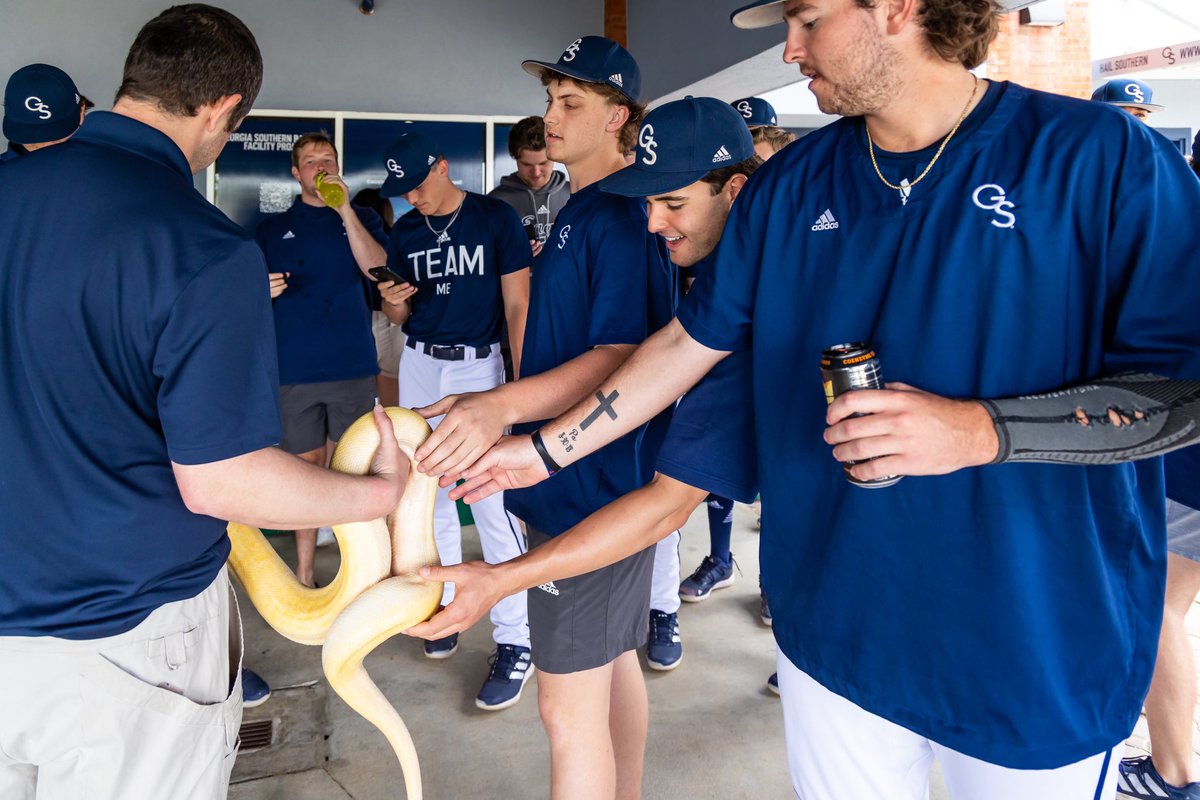Channeling our inner Steve Irwin today 🐍

#HailSouthern