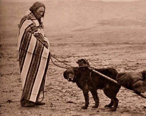 native_lover_'s tweet photo. “If there are no dogs in Heaven, then when I die, I want to go where they went.” 

–Will Rogers, Cherokee https://t.co/yolJlVJcQ2