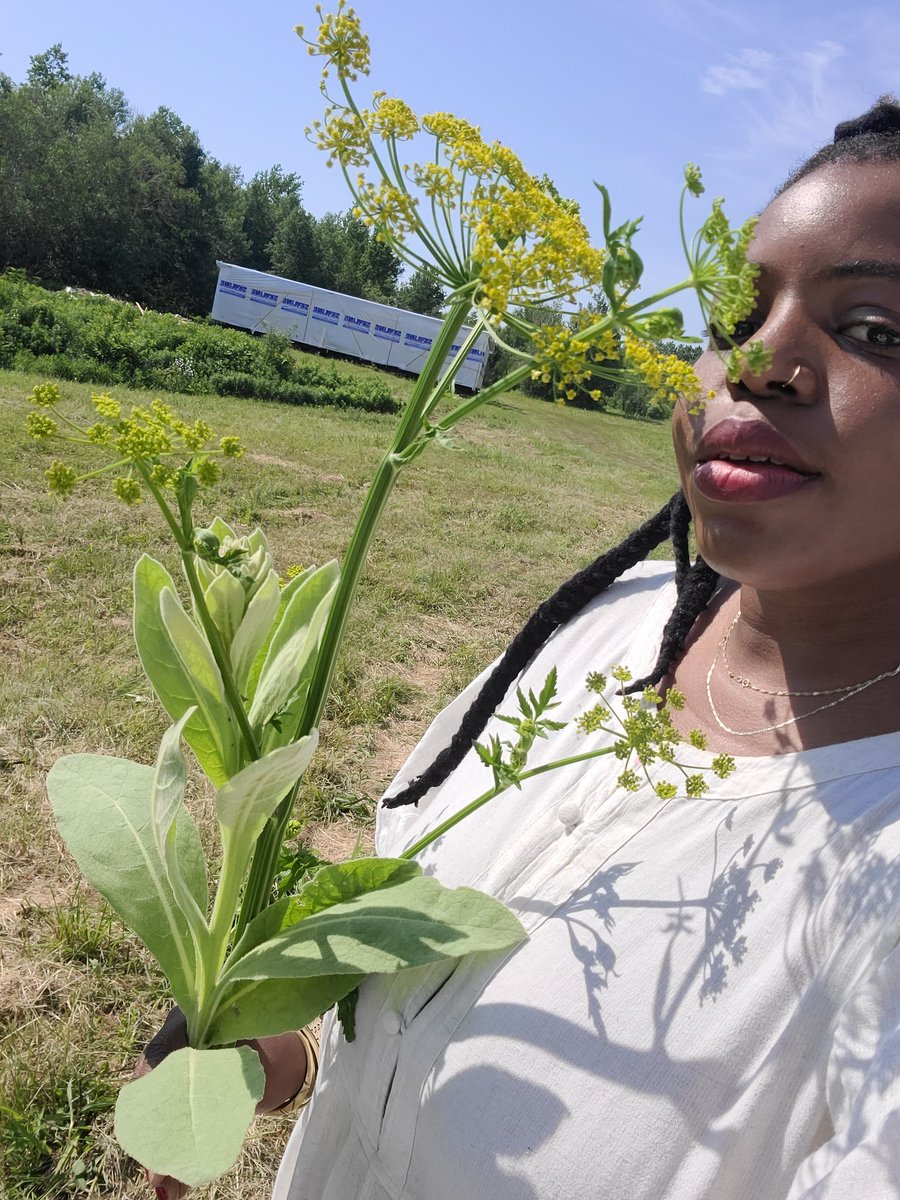 SassyE's tweet photo. A thread of herbal programs and apprenticeships Im considering. Feel free to add your recs! https://t.co/KHhyeiXO5F