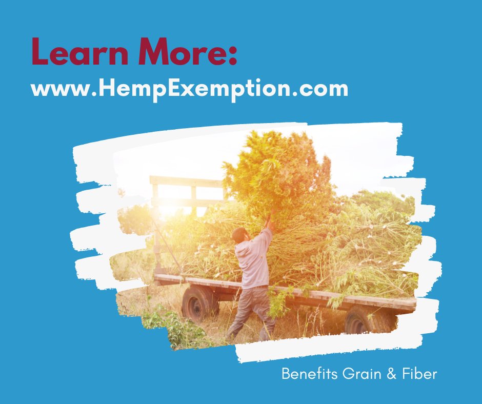 AgHempSolutions's tweet photo. 📣 Are you a hemp advocate or hemp industry stakeholder? Help hemp farmers of grain and/or fiber become exempted from burdensome policies that still treat their crops as an illicit product. Visit https://t.co/rQW6UL7Gic to learn more.
#hempexemption #industrialhemp #hempgrain https://t.co/58Ro7t7SEX