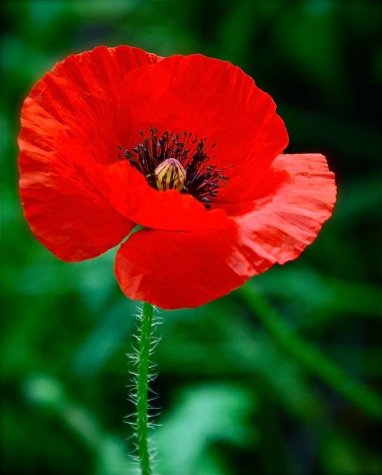 hassankhaderali's tweet image. Good evening/morning to all of you ,my lovely friends wherever you are .
I love and am wishing you a wonderful Weekend.
#chronicillness 
#Spoonies