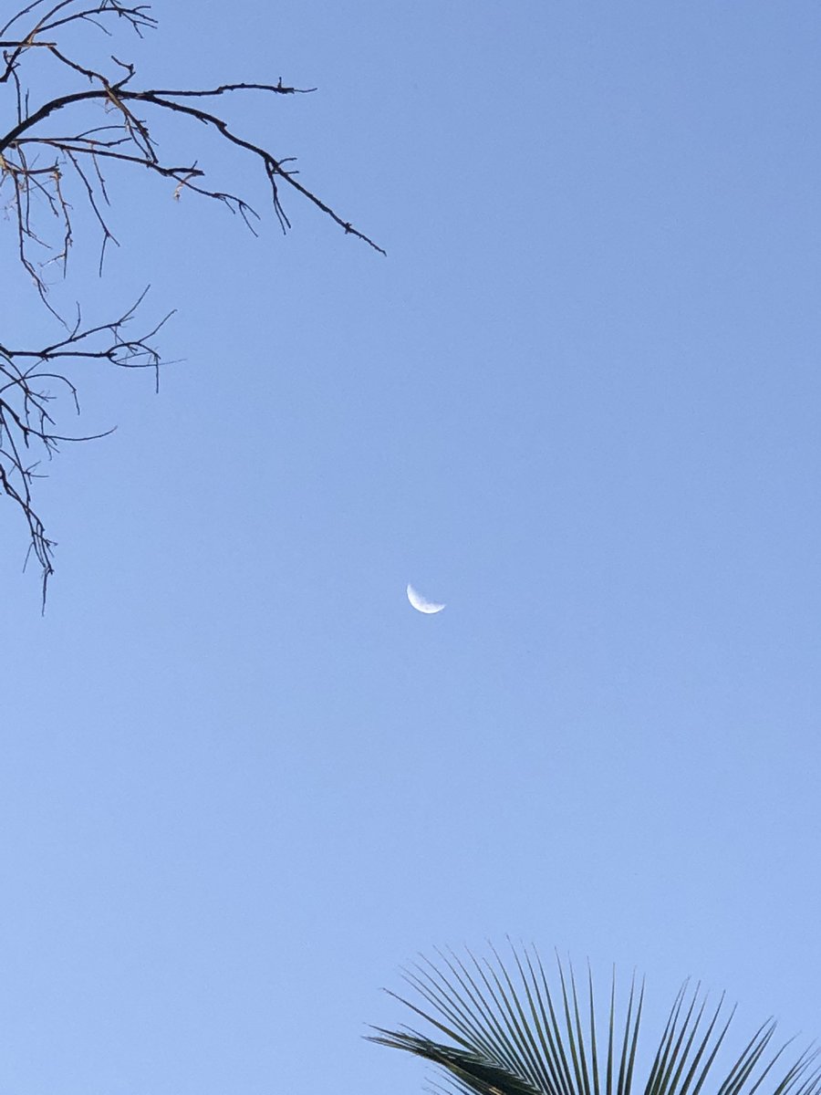 aneiiil's tweet photo. moon venus and jupiter!!!!! https://t.co/X3M0EWlWao
