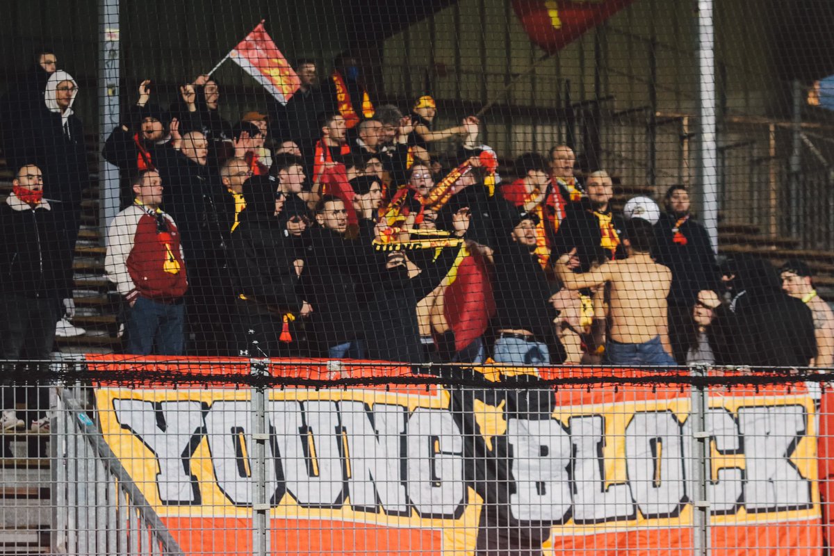 QRM 🐆 tweet media