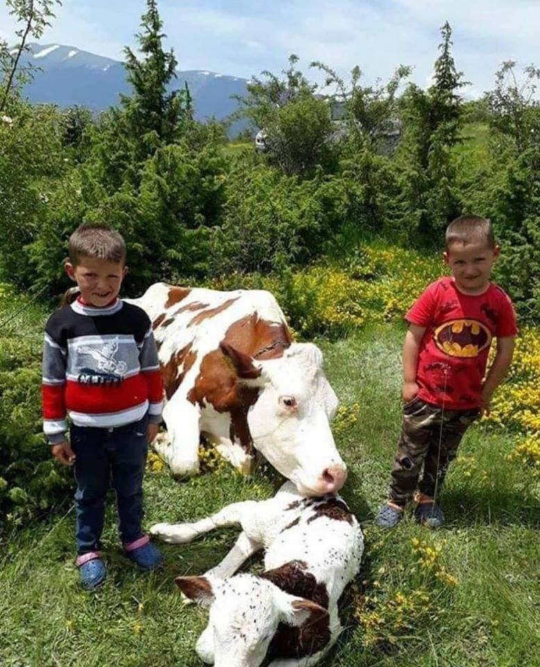 Jedna od najlepsih fotografija sa sela