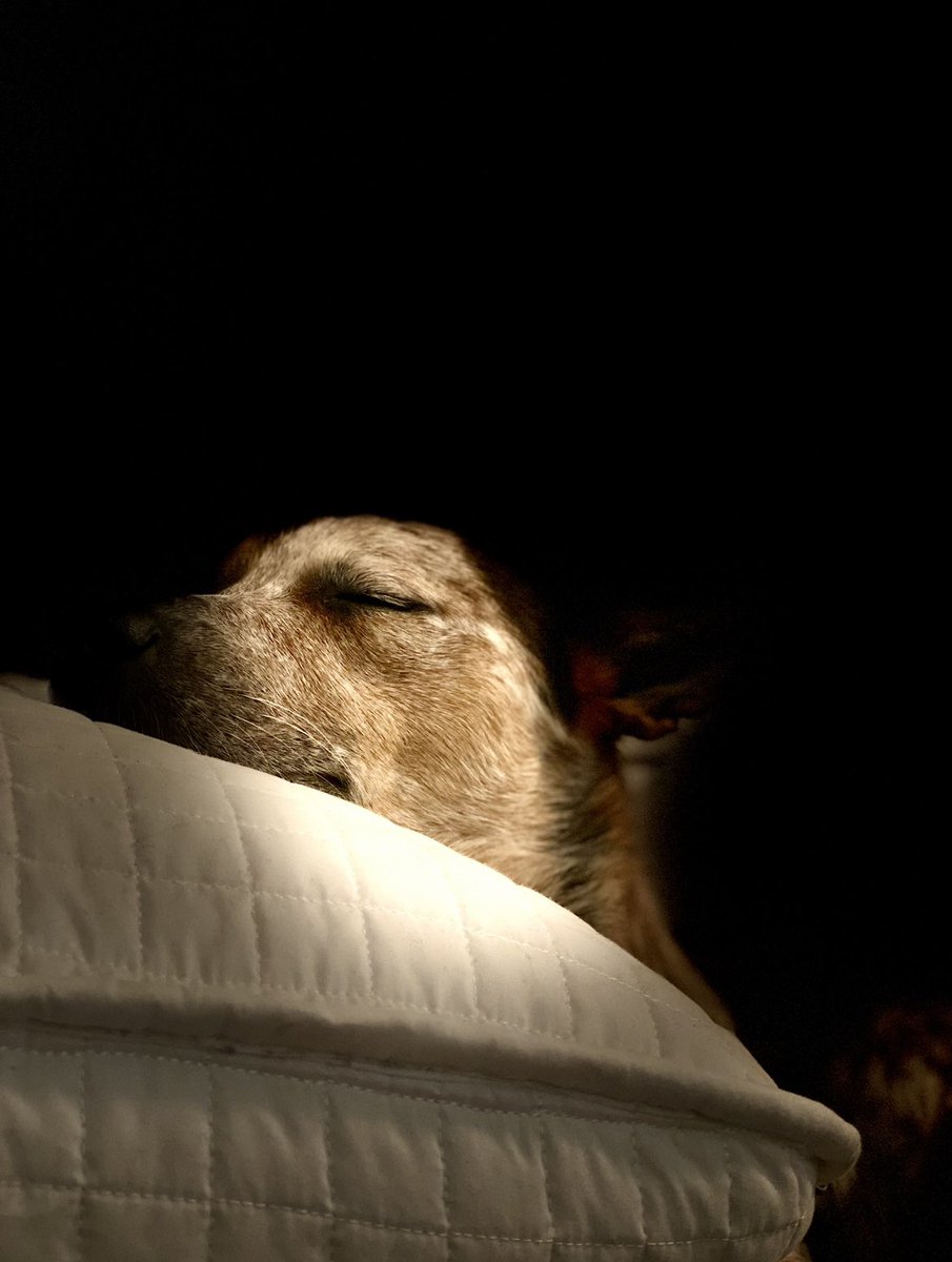 June Rodil, MS tweet media