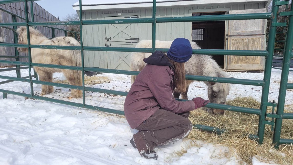 We have guests.

#MiniHorse