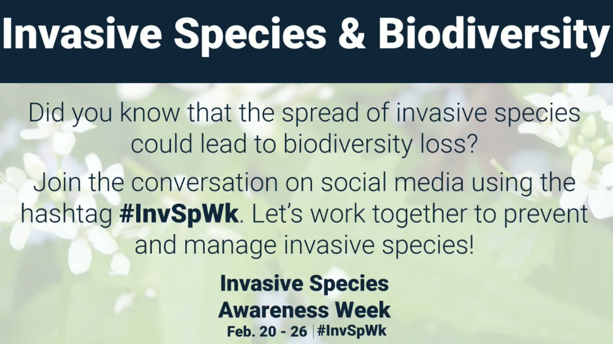 Together, we can prevent the spread of invasive species and protect
Canada’s environment, economy, and society. Learn more about invasive species: #InvSpWk